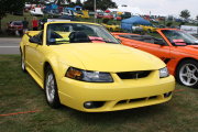 MUSTANG